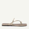 gwyneth_strappy_flats_2-5.webp Gwyneth Strappy Flats<PEDRO New
