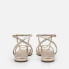 Lia Ankle Strap Sandals<PEDRO Best