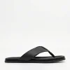 Icon Thong Sandals<PEDRO New